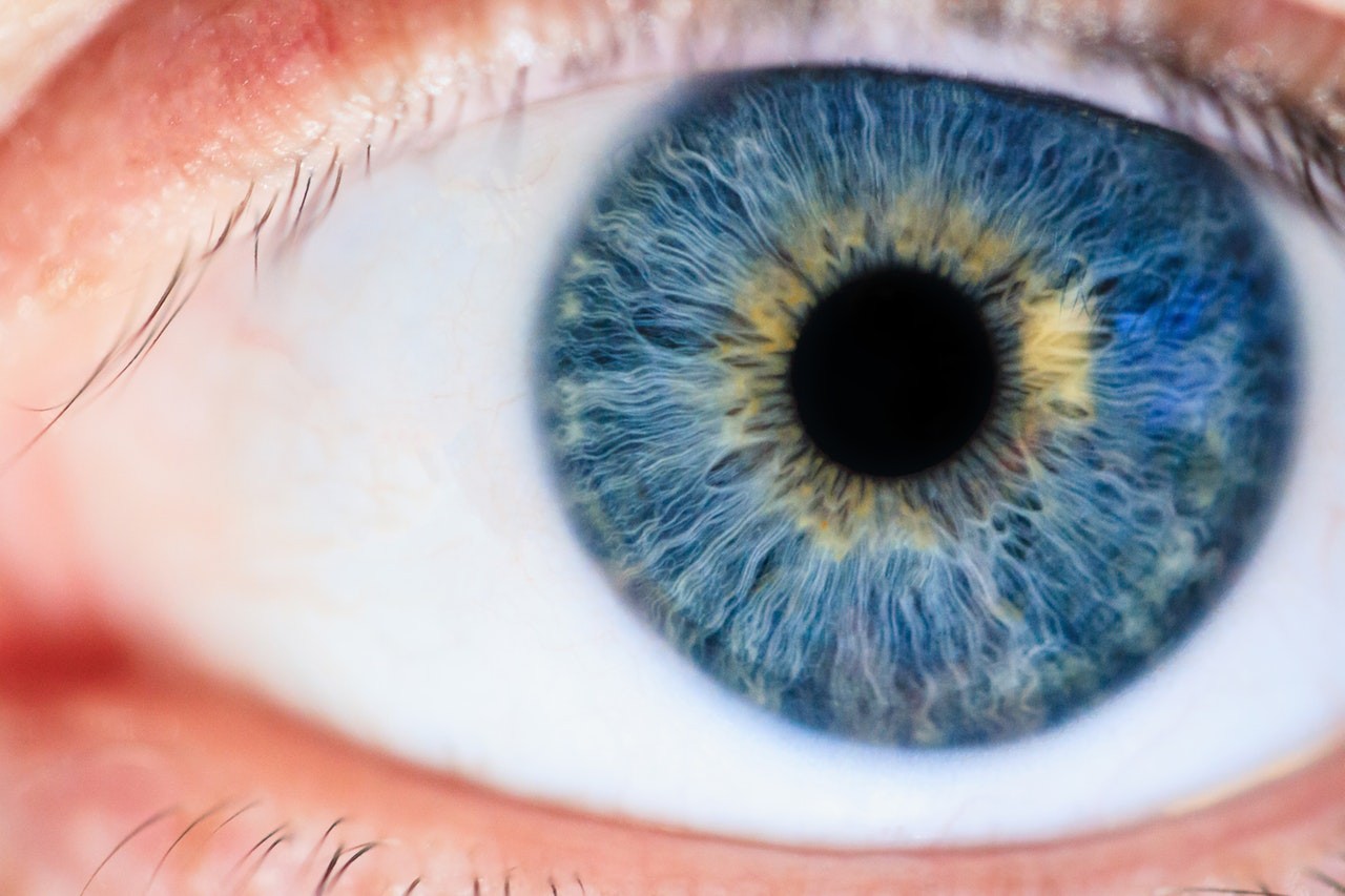 blue-eyes-close-up-eyeball-1486641