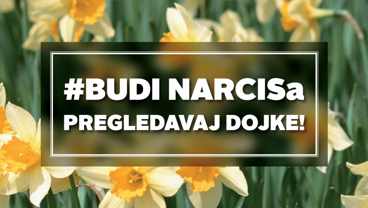 Budi-narcis