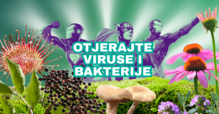 Otjerajte viruse i bakterije uz biljna rješenja!